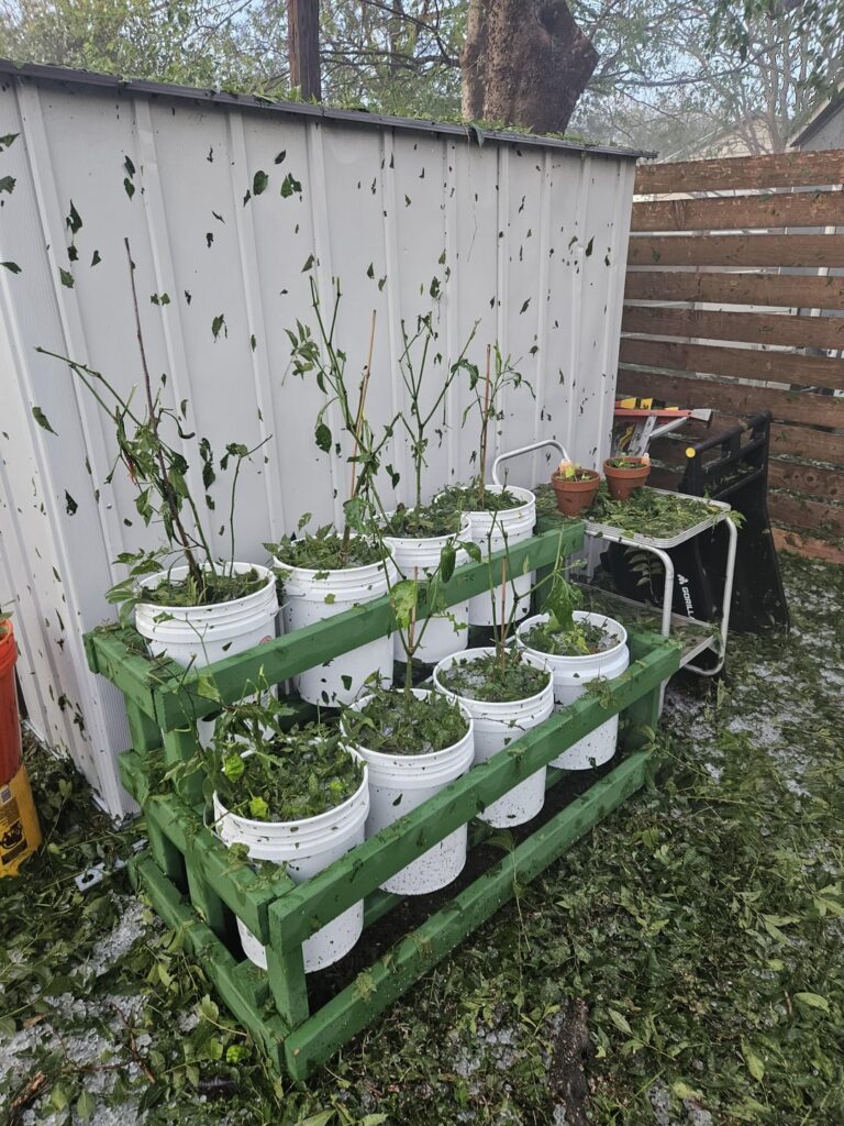 Got caught in a hail storm. Starting over.