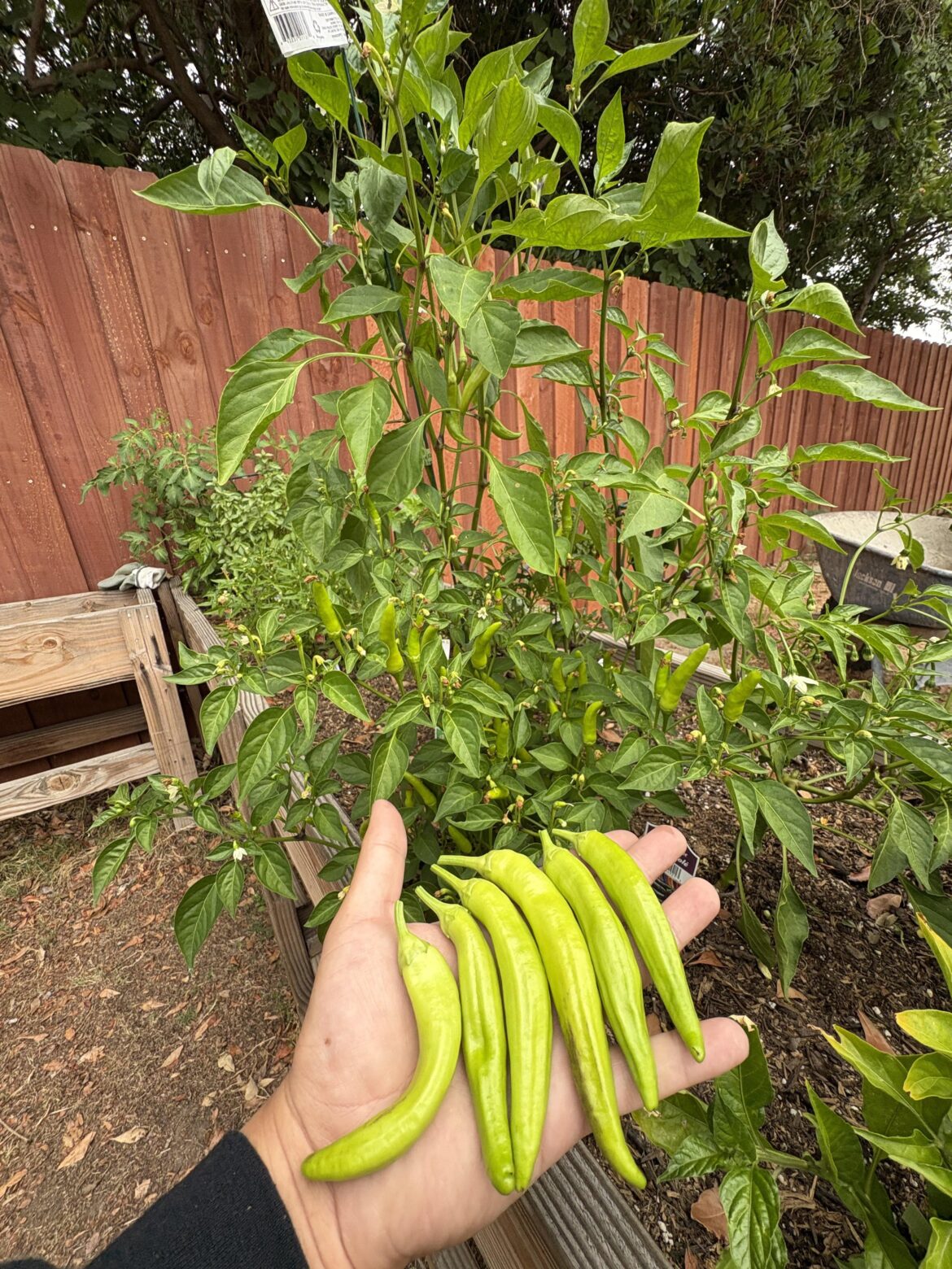 Thank you, mother nature