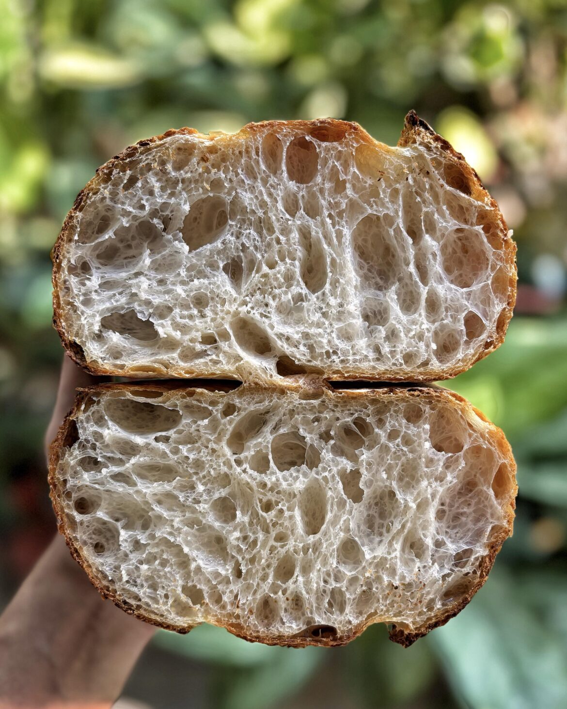 Open Crumb Experiment