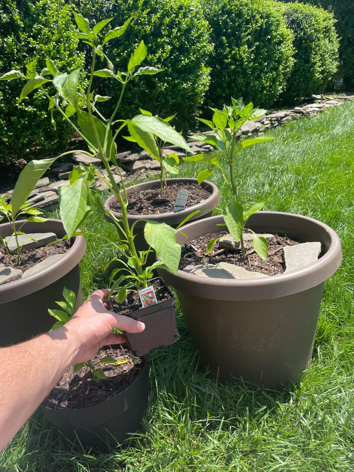 I’m convinced I’m doing something wrong