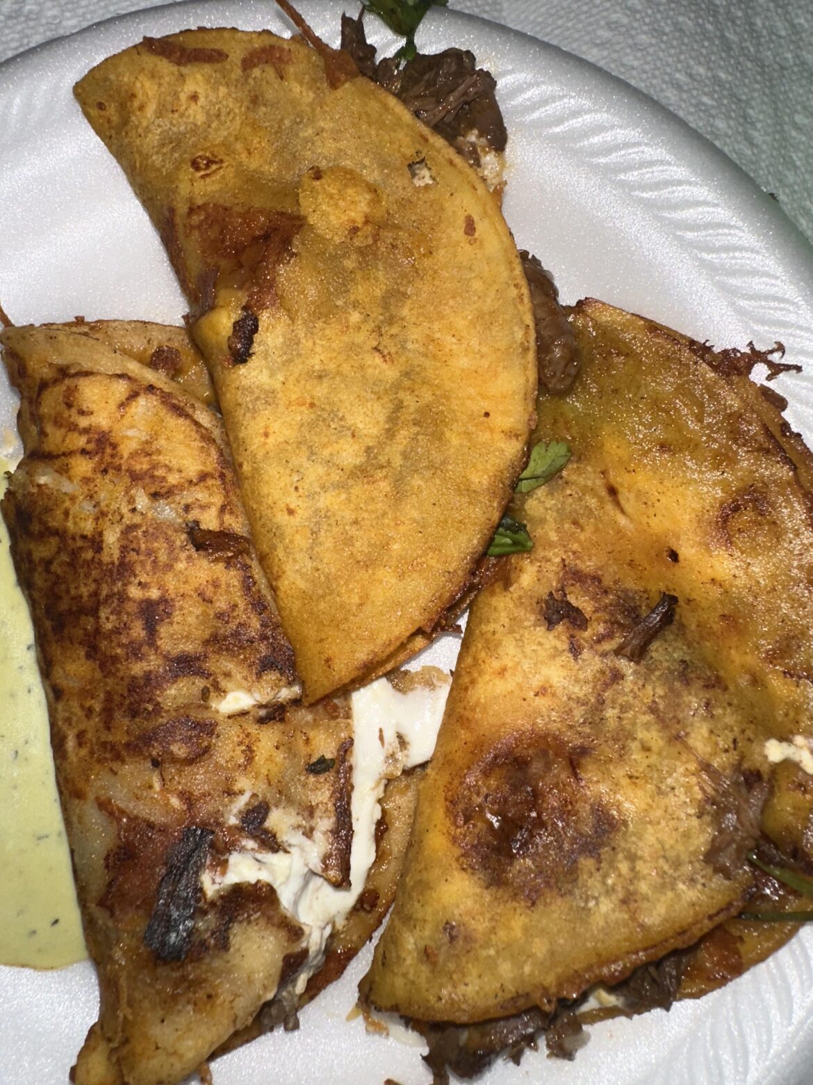 First Time Cooking Birria Tacos