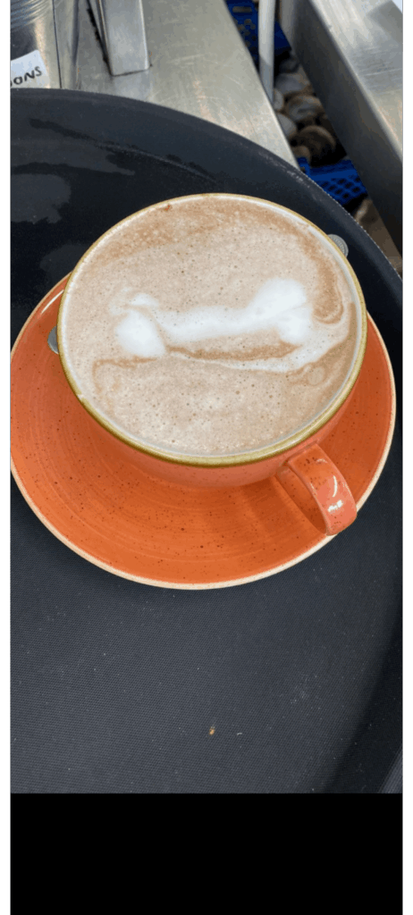 How is my latte art?