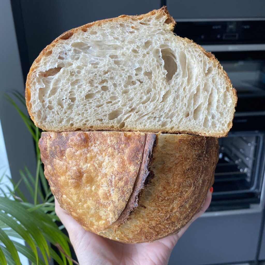 Daily Loaf Challenge #16: Cold fermentation AND proof