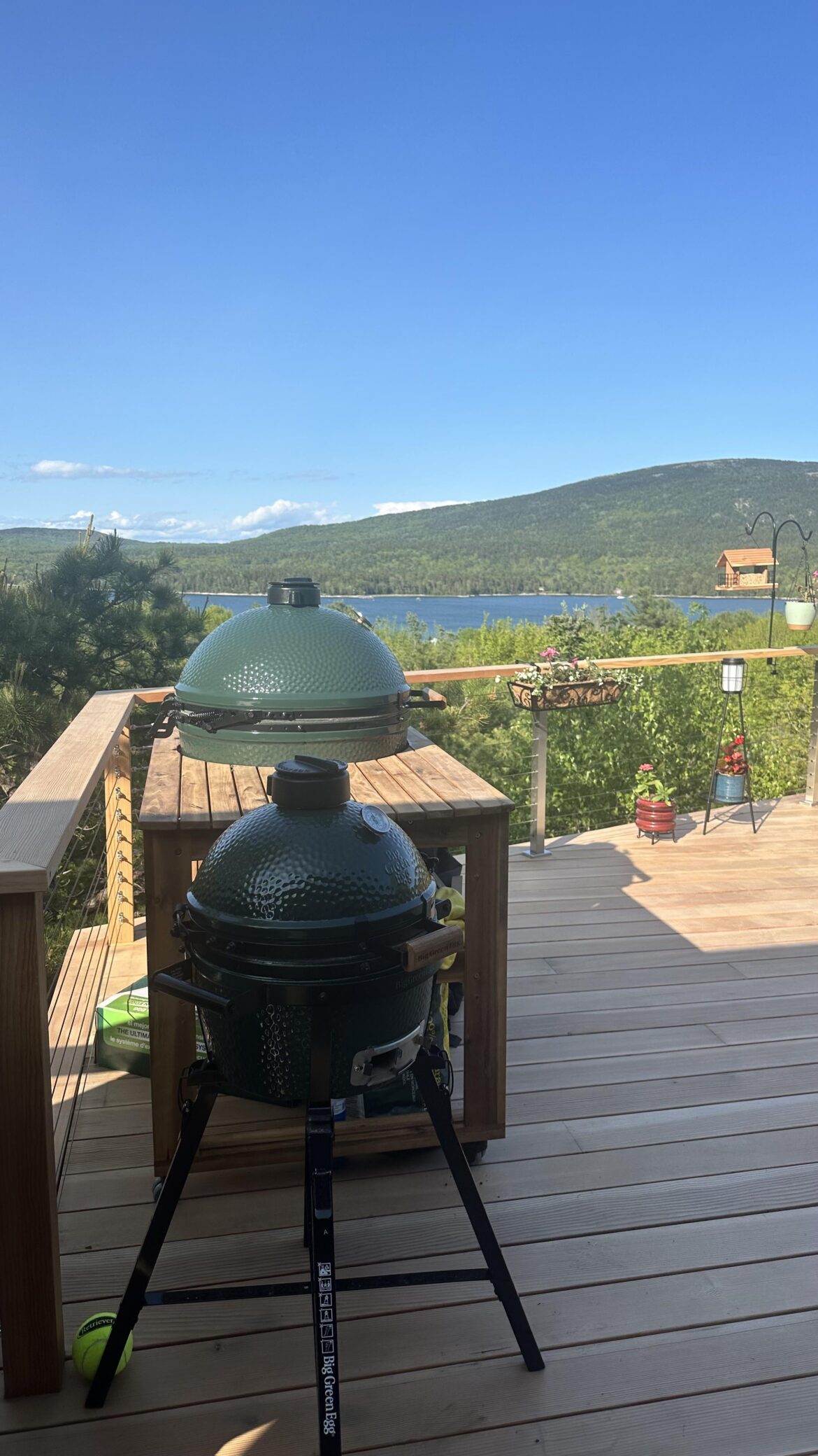 My boys have arrived.   Waited a lot of years for this view and these bad boys