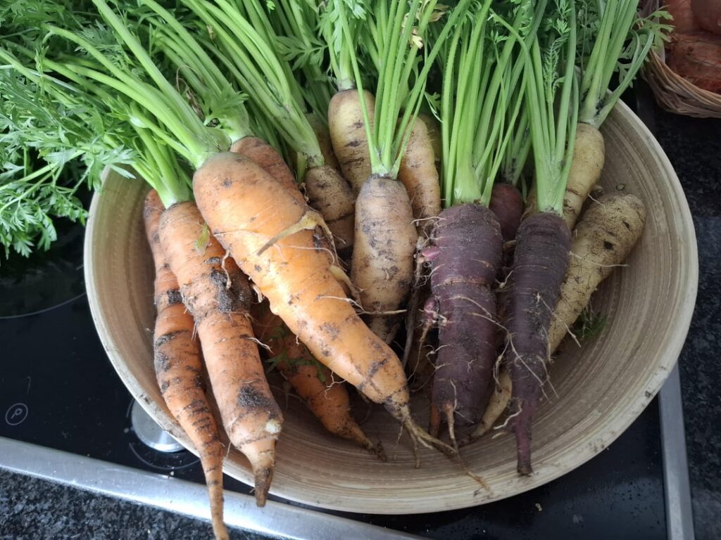 My first harvest ever. So proud of these