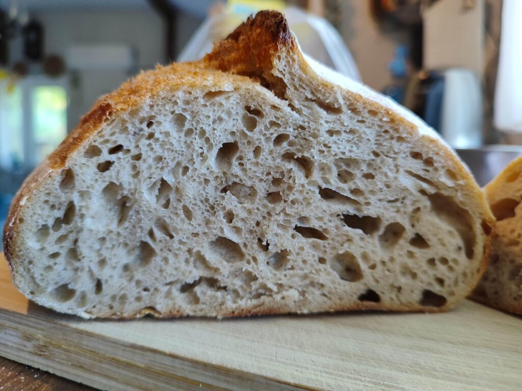 My first time baking with bread flour My first time baking with bread flour