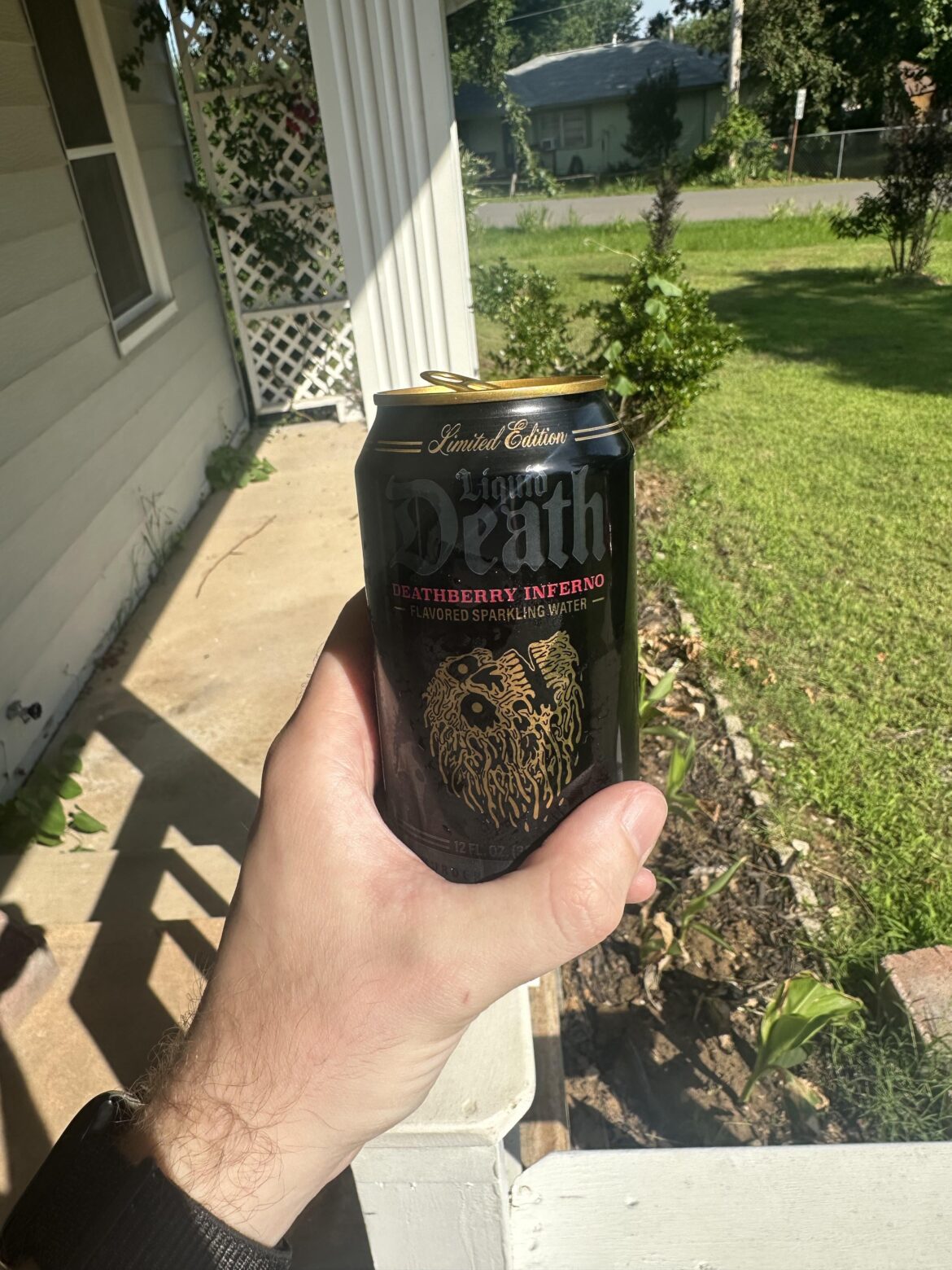 I bought the spicy tv static I bought the spicy tv static