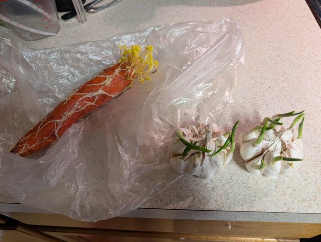 Can I just … Stick these in the ground? Can I just ... Stick these in the ground?