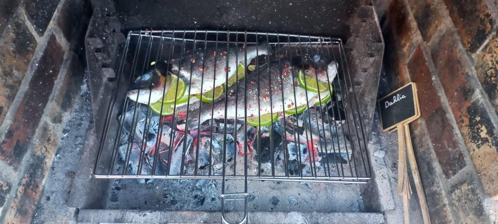 Grilled seabream!