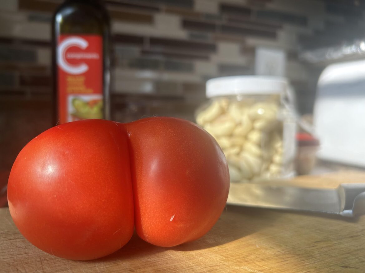 A moment, for this tomato.