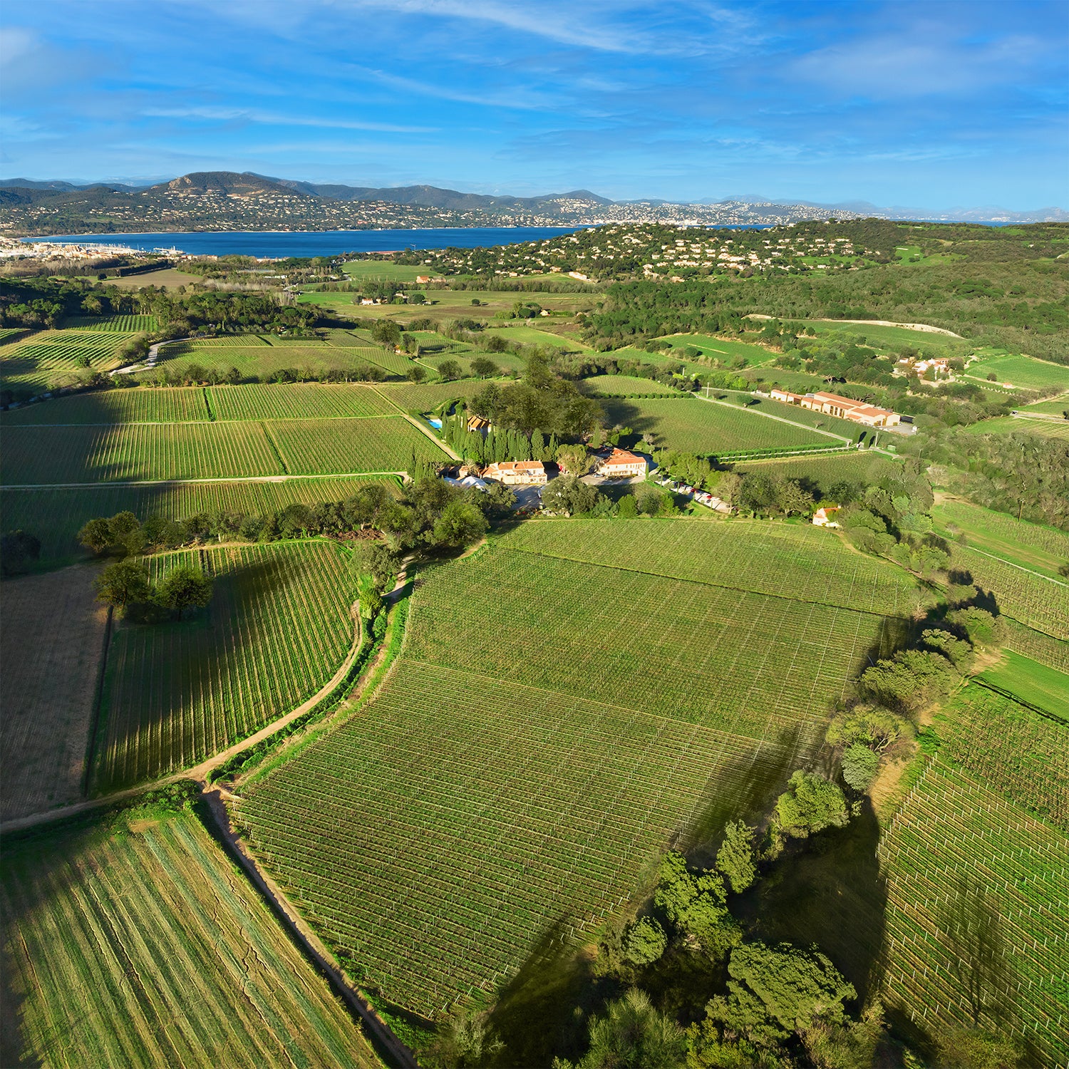 Aerial view of Minuty winery in Saint Tropez.