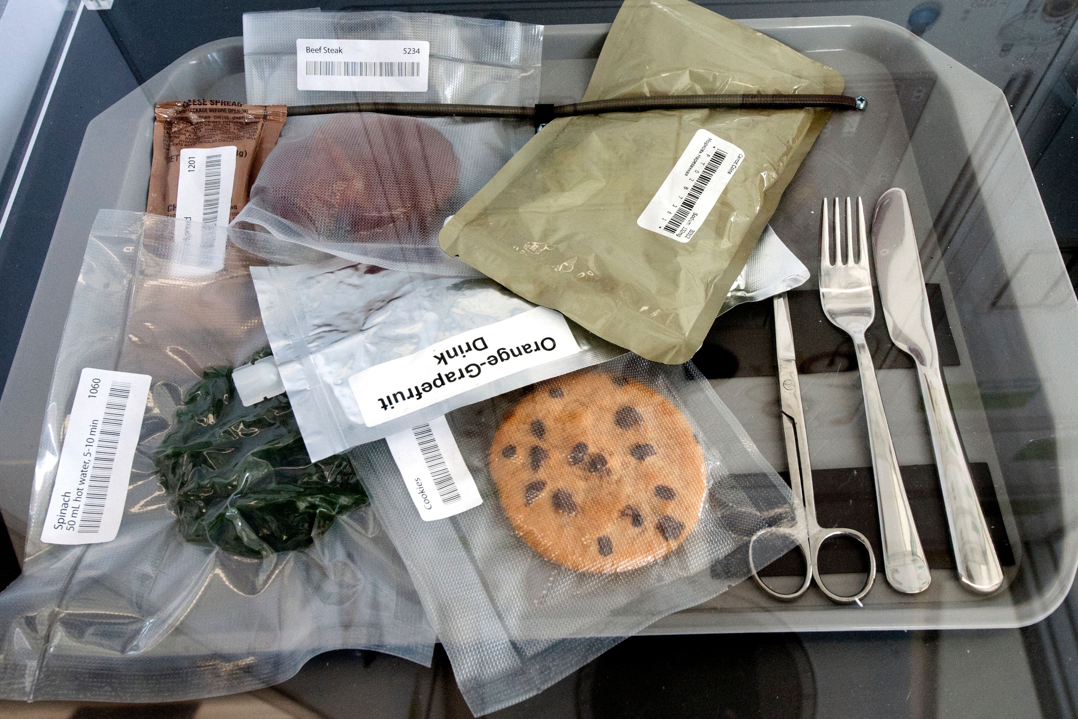 Vacuum-sealed space food and utensils on a tray.