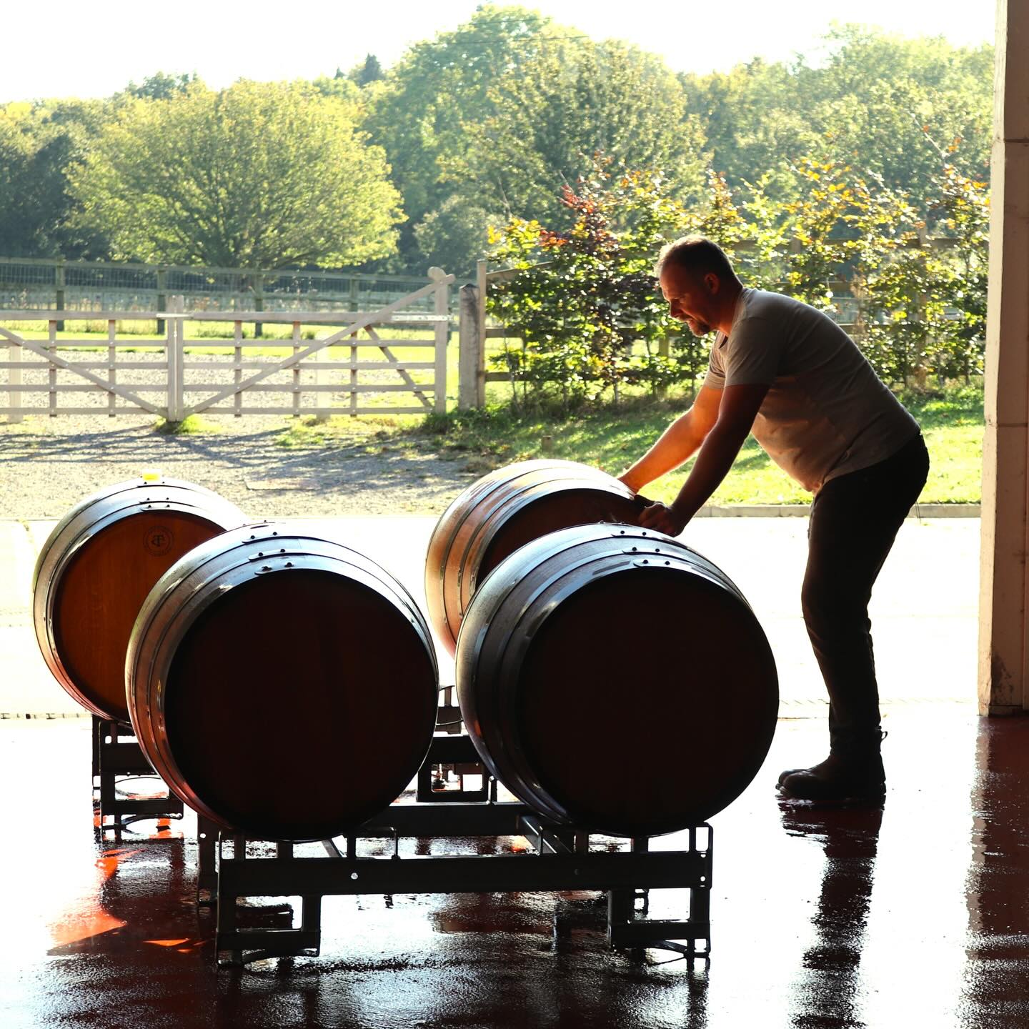 A man moving wine barrels at a winery.