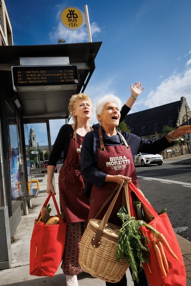 two older women carrying grocery bags and waiting at a Dublin bus stop