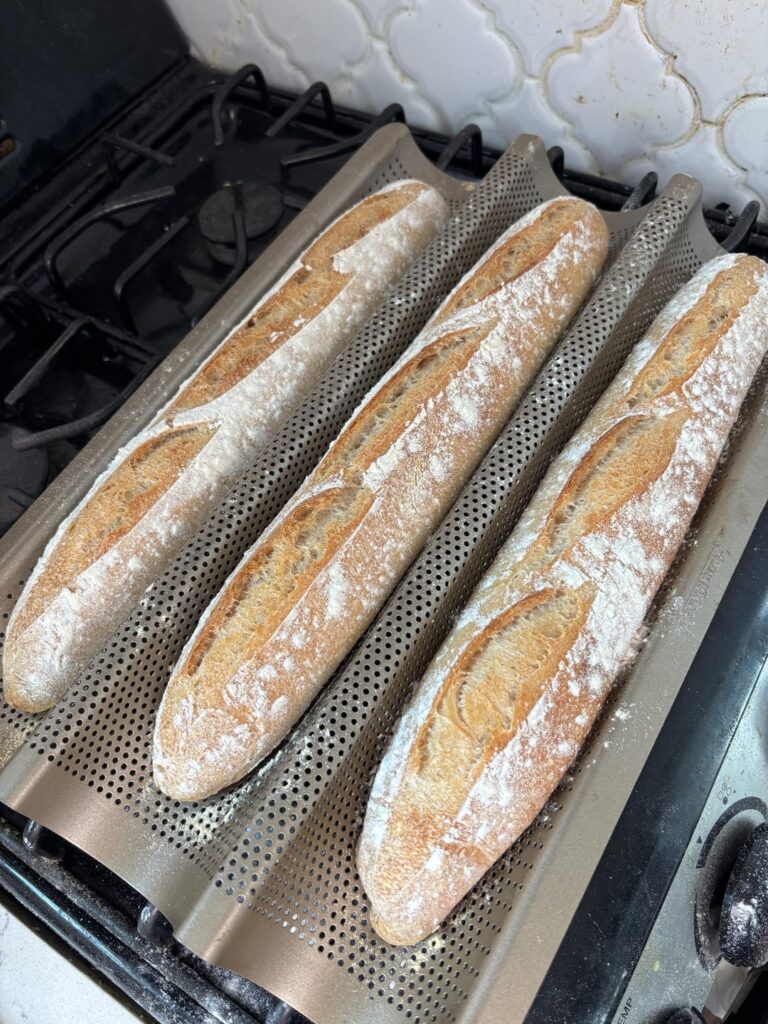 Attemp at sourdough baguettes