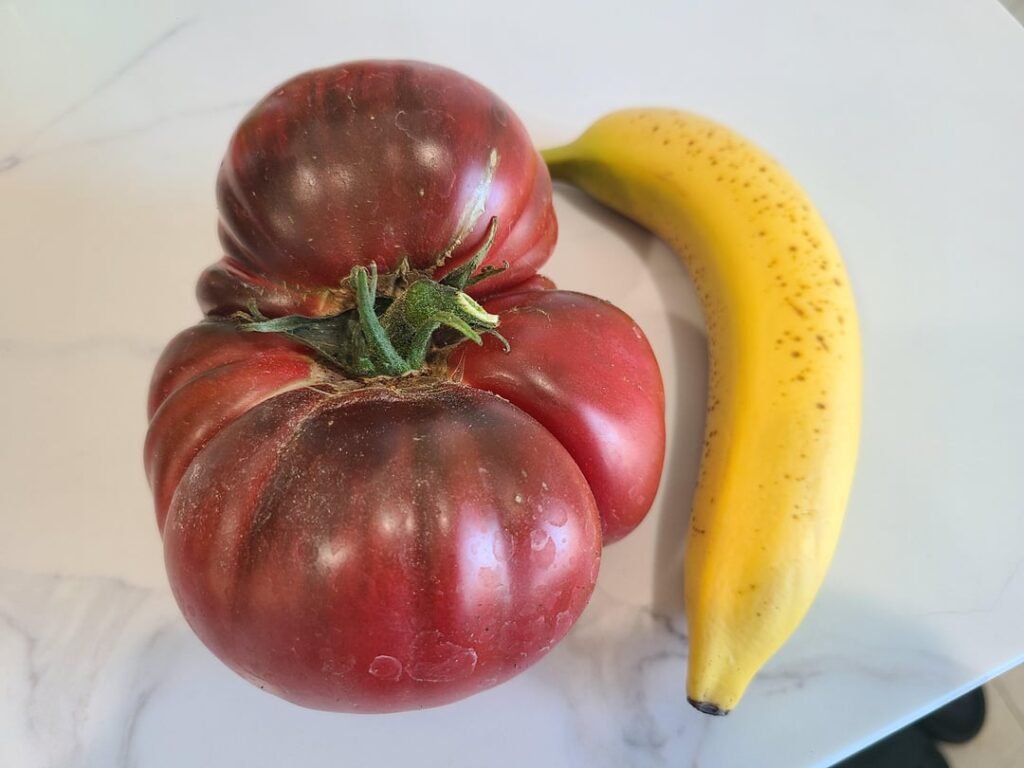 Hey everybody, look at this tiny banana!