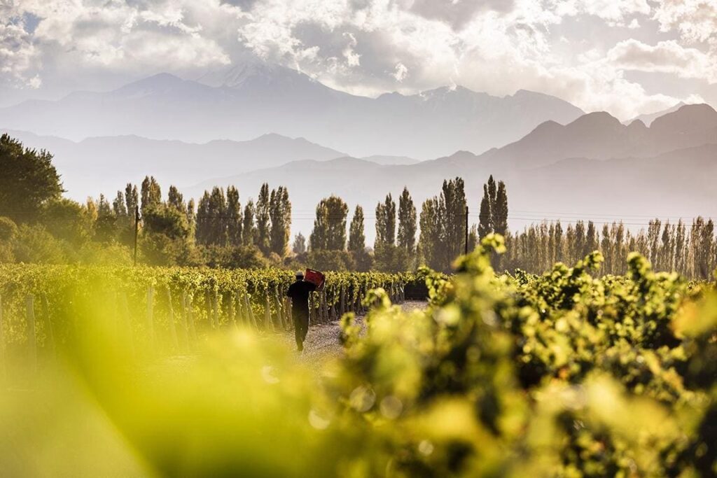 A Sky-High Surprise In The Andes
