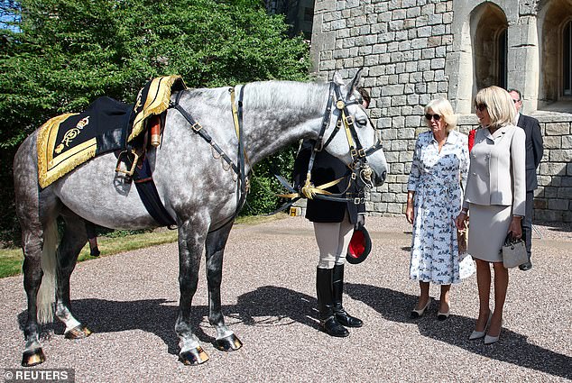 The President and the First Lady of France was invited to meet Fabuleu de Maucour, a horse gifted by Mr Macron to Queen Elizabeth II to mark her Platinum Jubilee