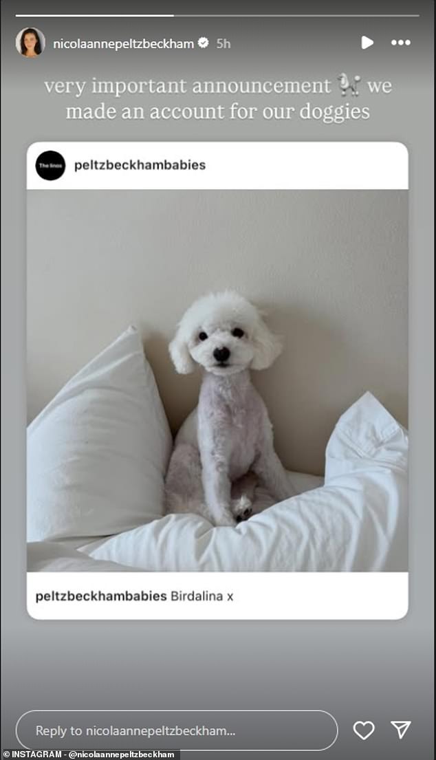 The page features images of the couple's other dogs Lamb, Label and Angel