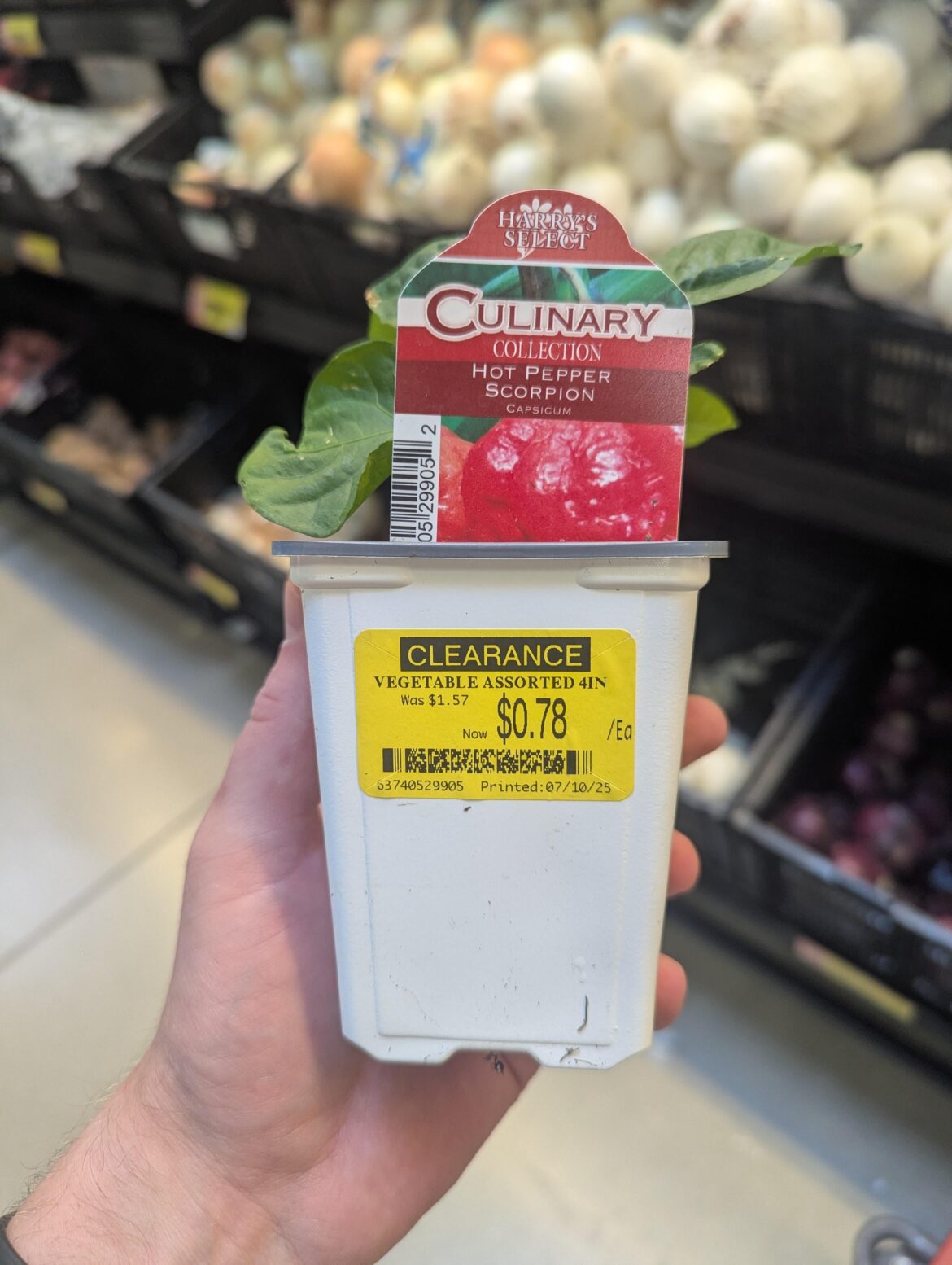 How could I not buy it?