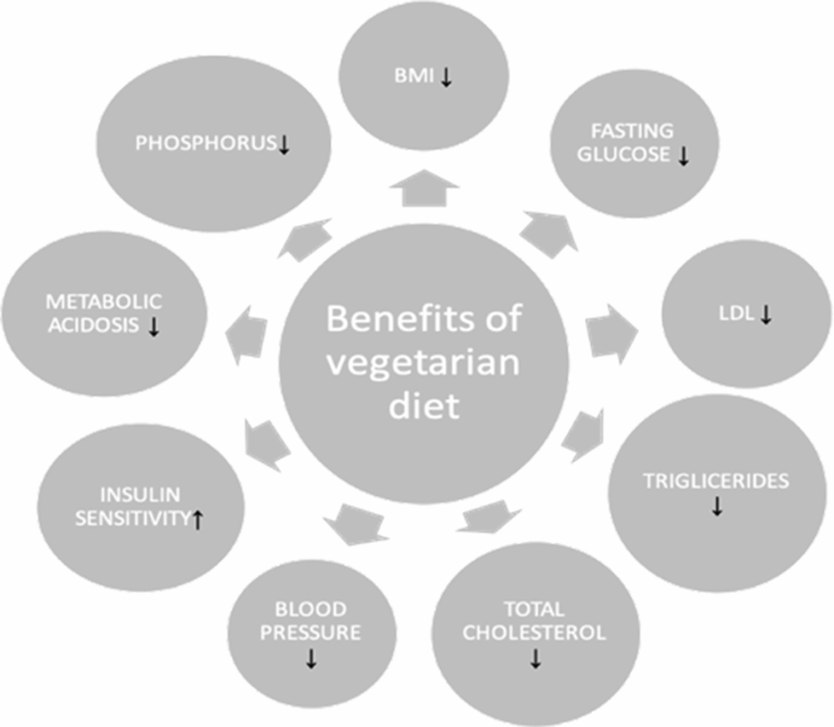 The impact of a vegetarian diet on chronic kidney disease (CKD) progression – a systematic review | BMC Nephrology The impact of a vegetarian diet on chronic kidney disease (CKD) progression – a systematic review | BMC Nephrology