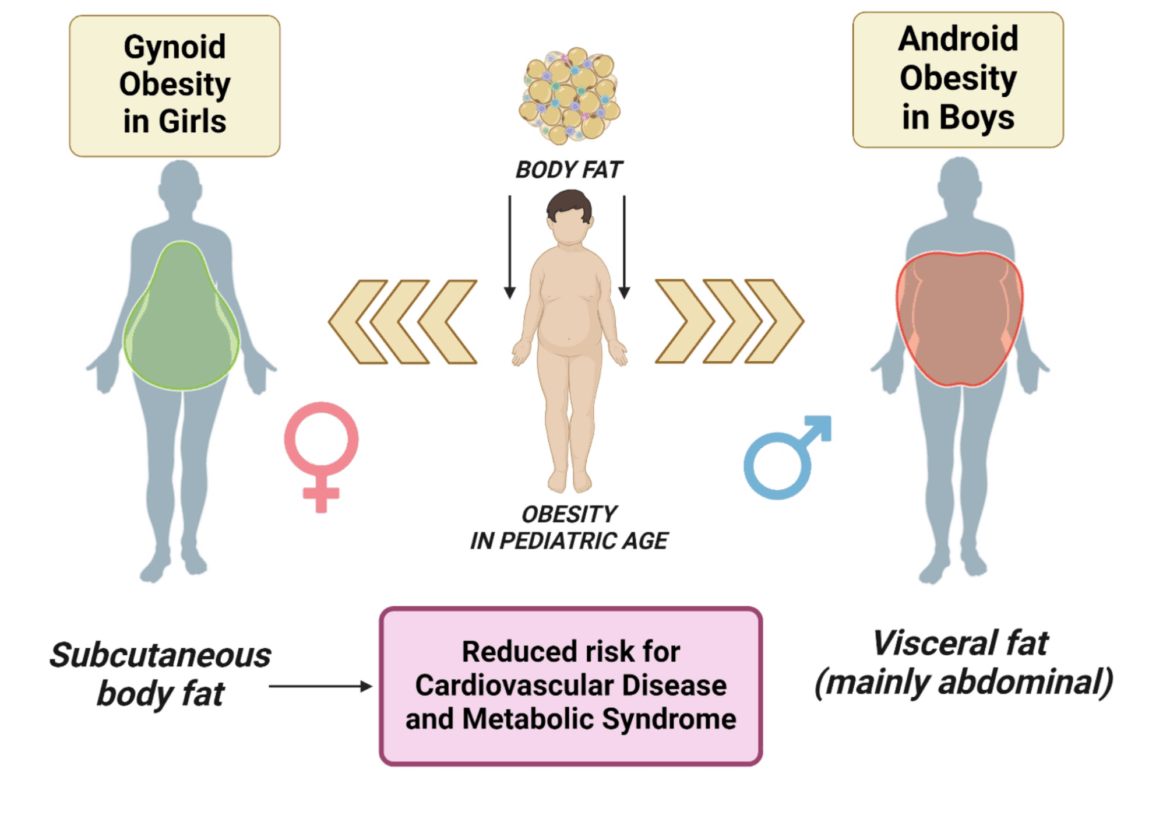 Sex- and gender-based medicine in pediatric nutrition | Italian Journal of Pediatrics Sex- and gender-based medicine in pediatric nutrition | Italian Journal of Pediatrics