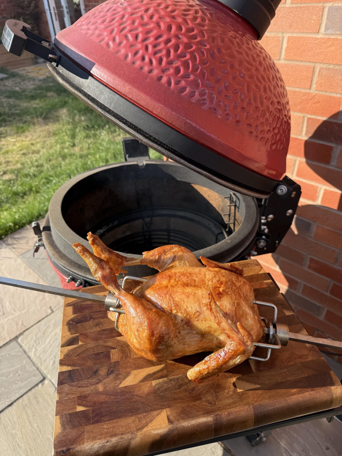 Just a picture of a chicken