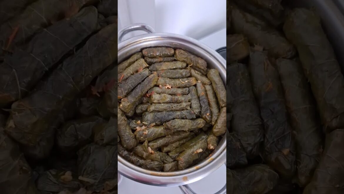 Yaprak sarması (Lezizzz)