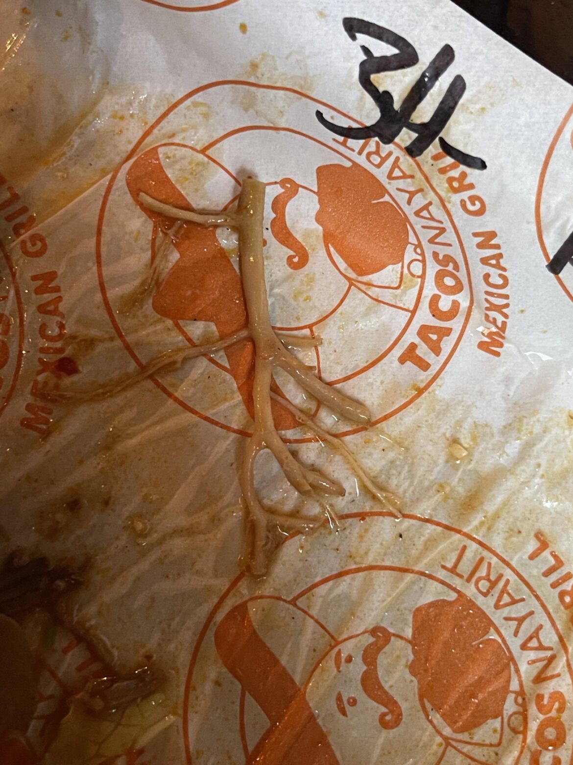 Cute little surprise!