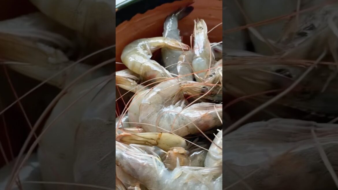 Γαρίδες Σαγανάκι - Garides Saganaki - Paradicsomszószban Sült Rák