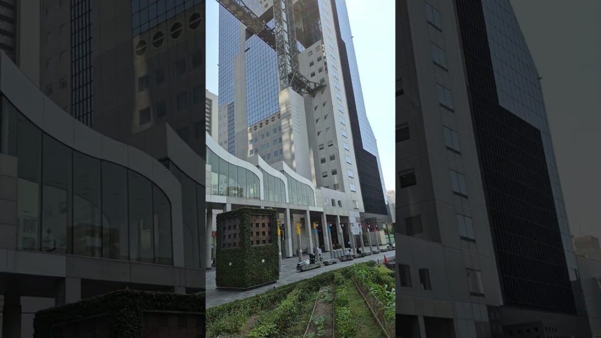 Horta no jardim do edifício Horta no jardim do edifício