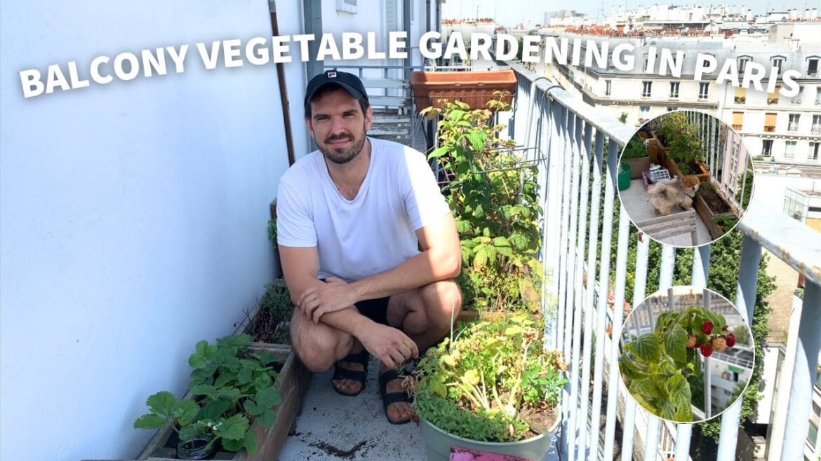 Balcony Vegetable Gardening in Paris – a Beginner’s Urban Garden Tour