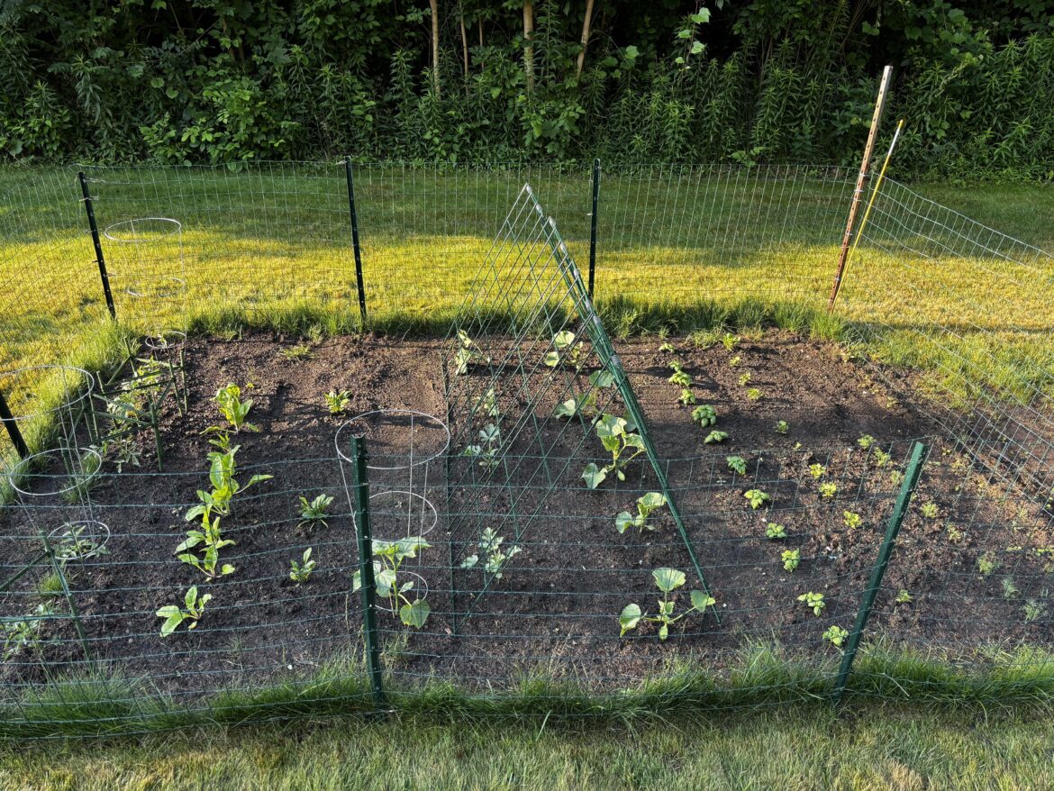 Does anyone *not* mulch their garden?