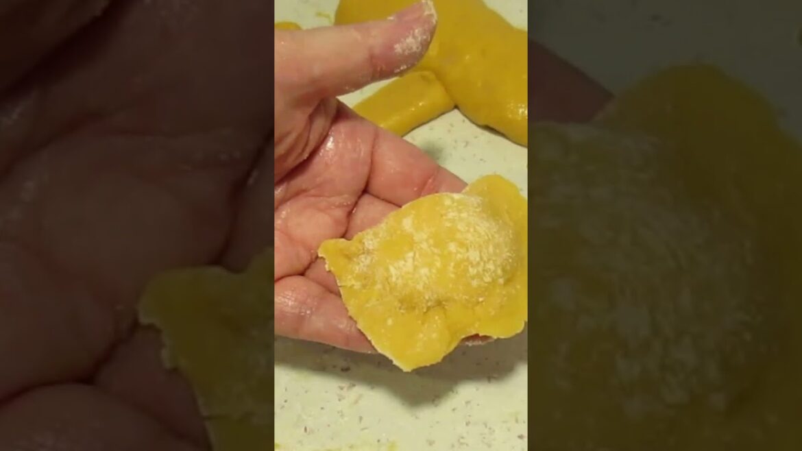 stuffed pasta with cheese in tomato sauce  –  punjena testenina sa sirom u paradajiz sosu stuffed pasta with cheese in tomato sauce  -  punjena testenina sa sirom u paradajiz sosu