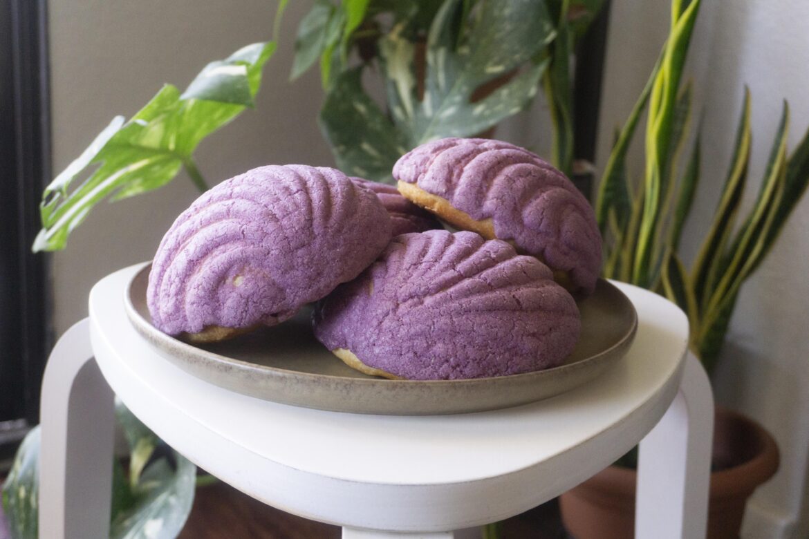 Dragonfruit Conchas - preorder for Saturday  (Hawthorne)
