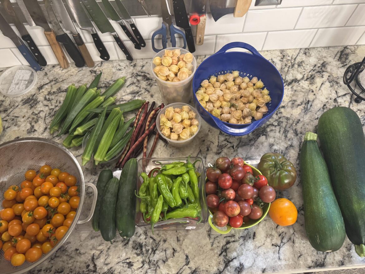 Was gone for a week!