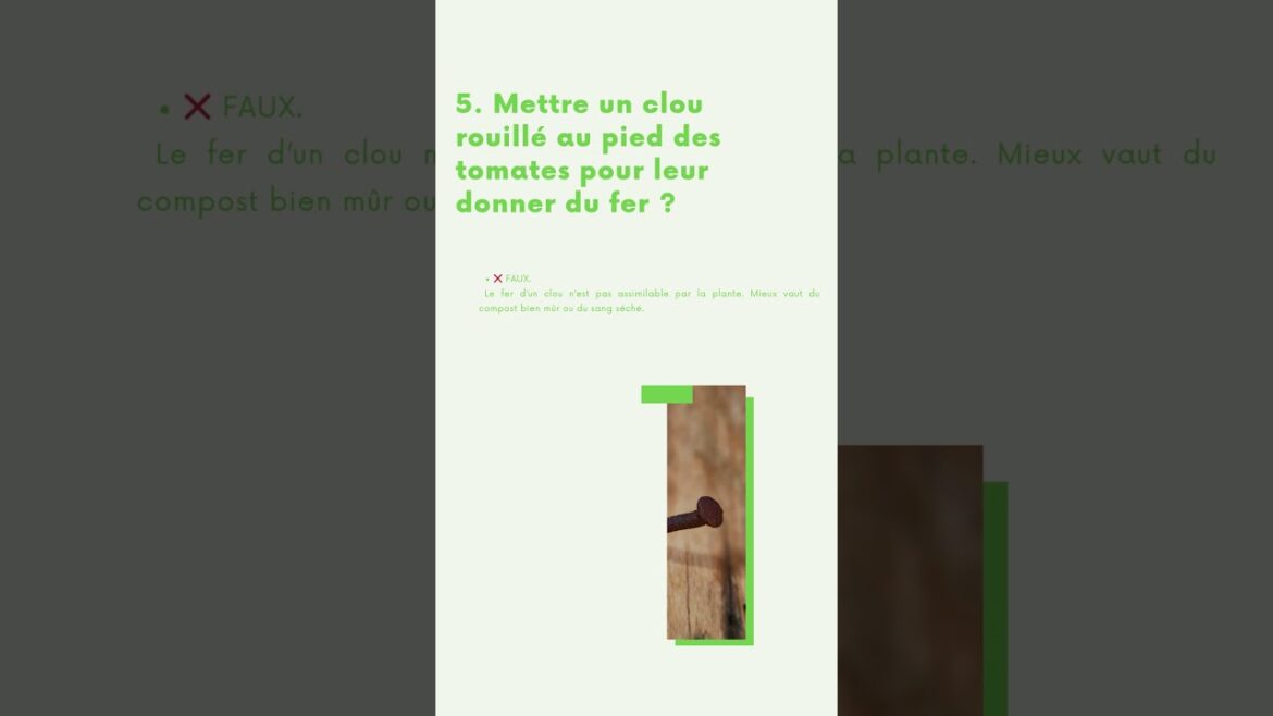 VRAI ou FAUX Tomates + clou rouillé = plus de fer ? Vraiment ? #jardin #permaculture #potager