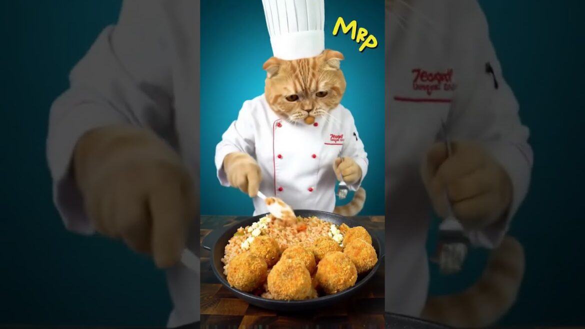Kimchi Gorgonzola Risotto Croquettes Recipe | Zesty Cat Chef