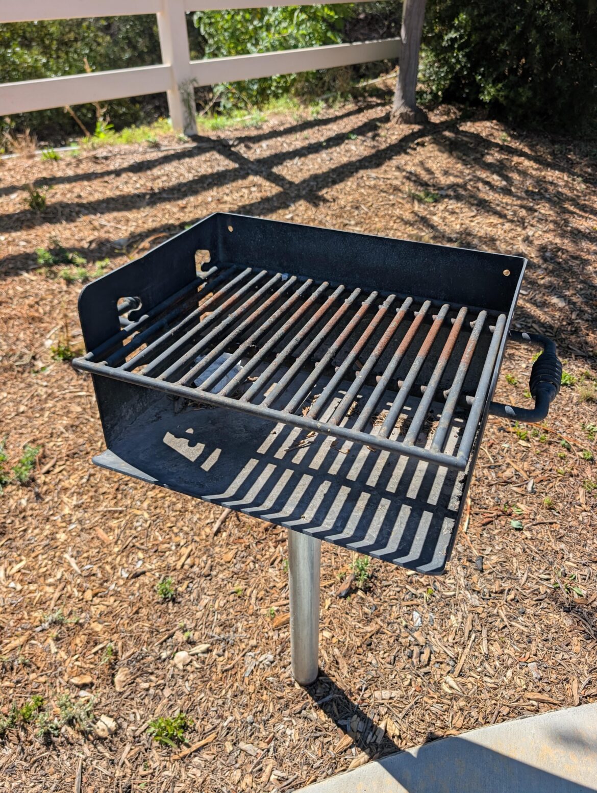 You are not a man ....until you have grilled and fed your family on one of these 🫩