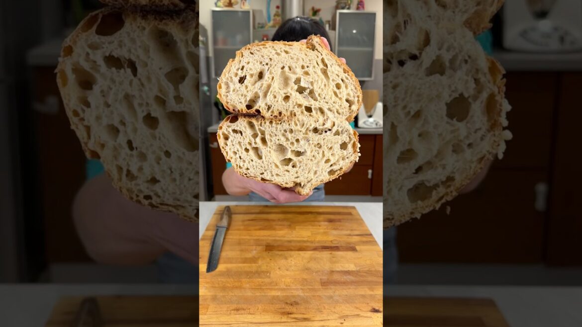 PANE COTTO NEL FORNO PER PIZZA CON SEMOLA E FARINA INTEGRALE #panefattoincasa Ad Macte Ovens PANE COTTO NEL FORNO PER PIZZA CON SEMOLA E FARINA INTEGRALE #panefattoincasa Ad Macte Ovens