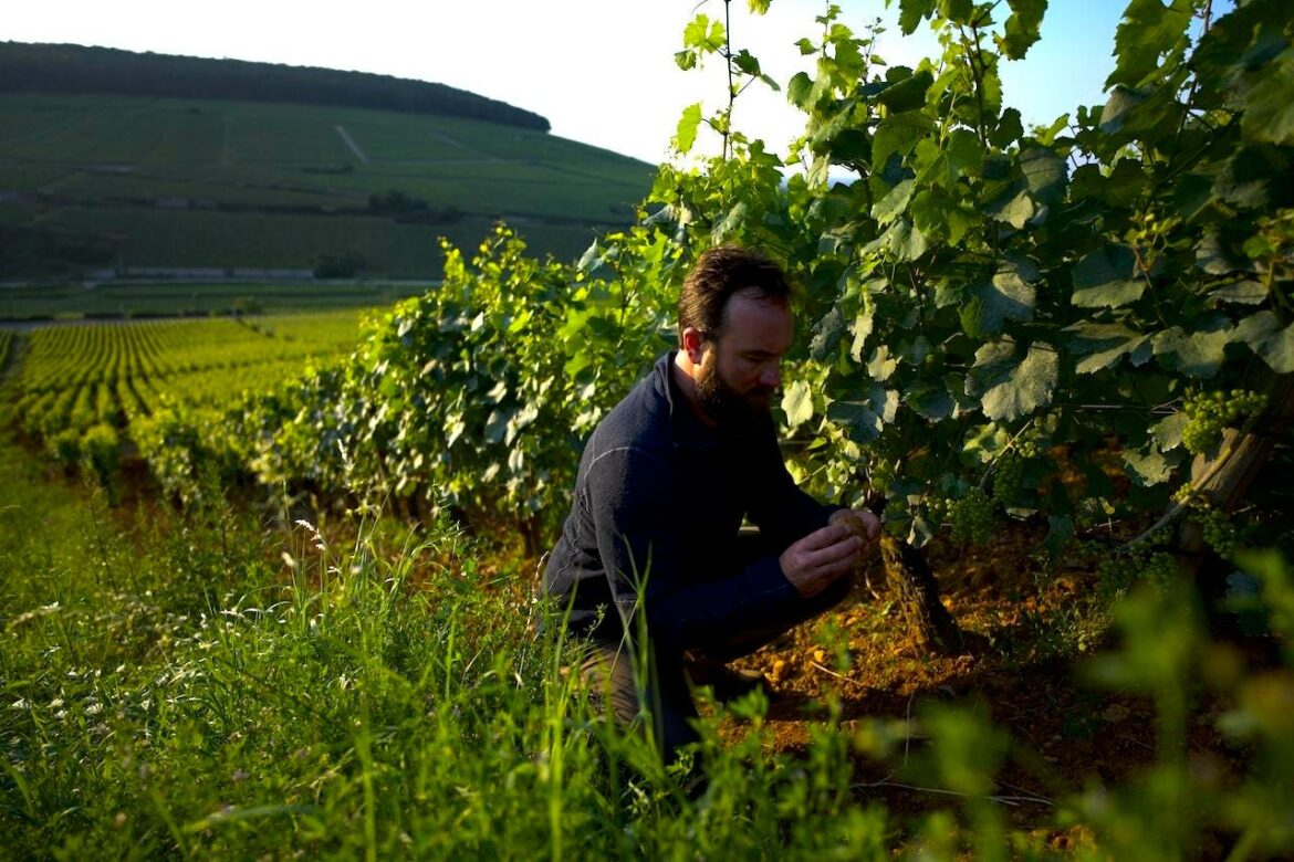 What Drove This California Winery To Craft Wine In Burgundy