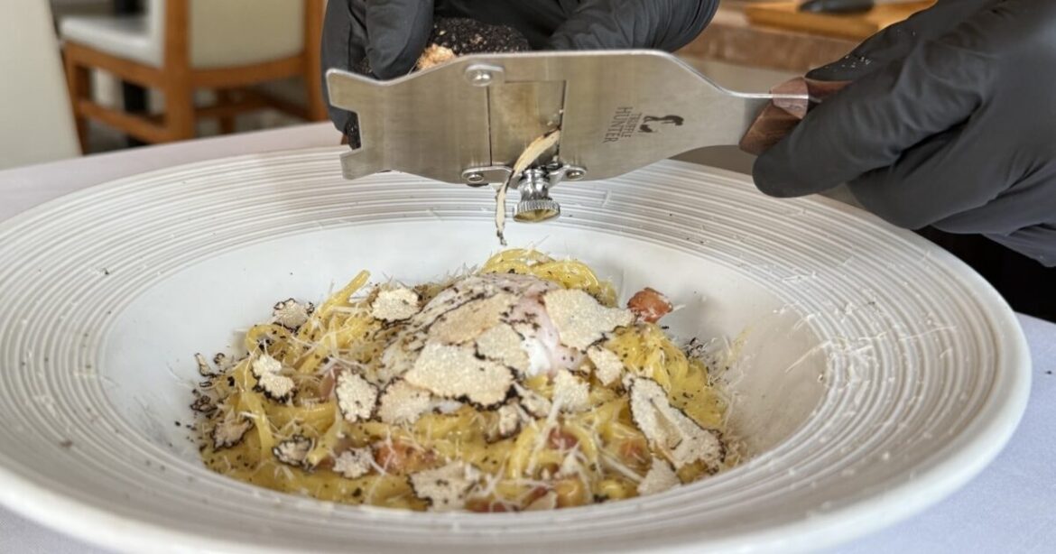 Aloha State Daily logo