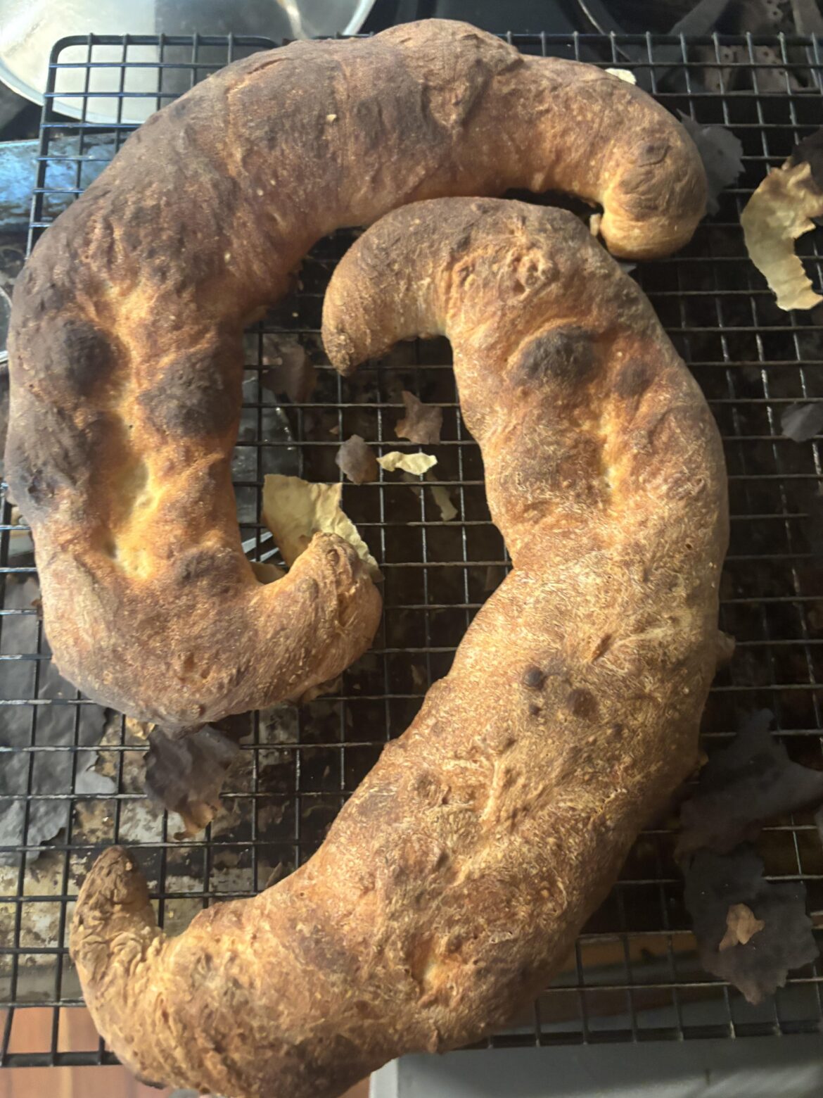 I screwed up baguettes so now there moon baguettes