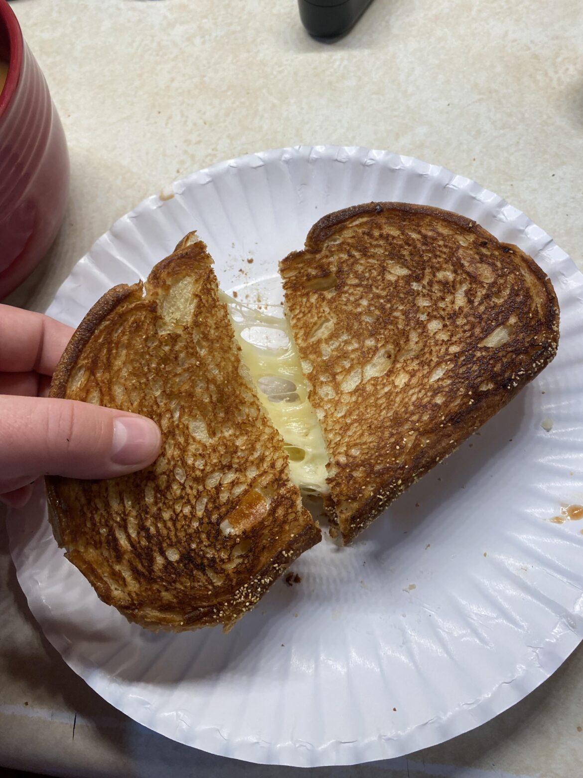 just made the sexiest grilled cheese i’ve ever seen