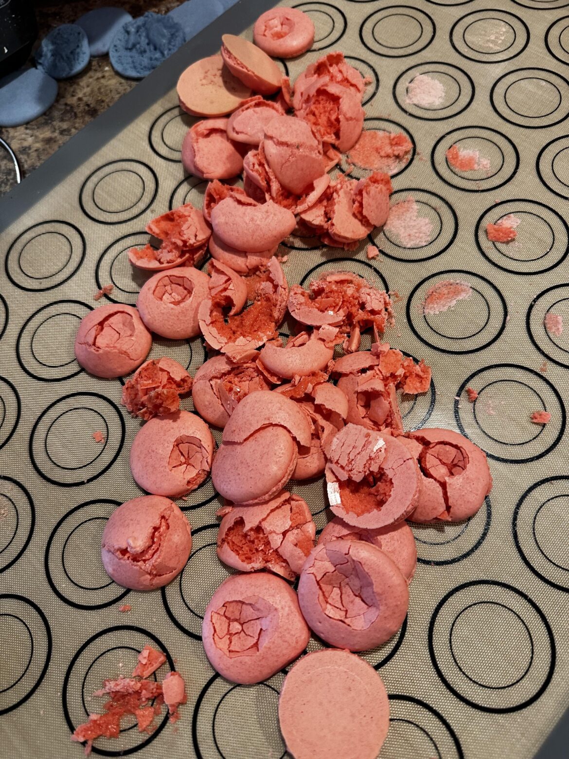 Disappointment in a shell! Disappointment in a shell!