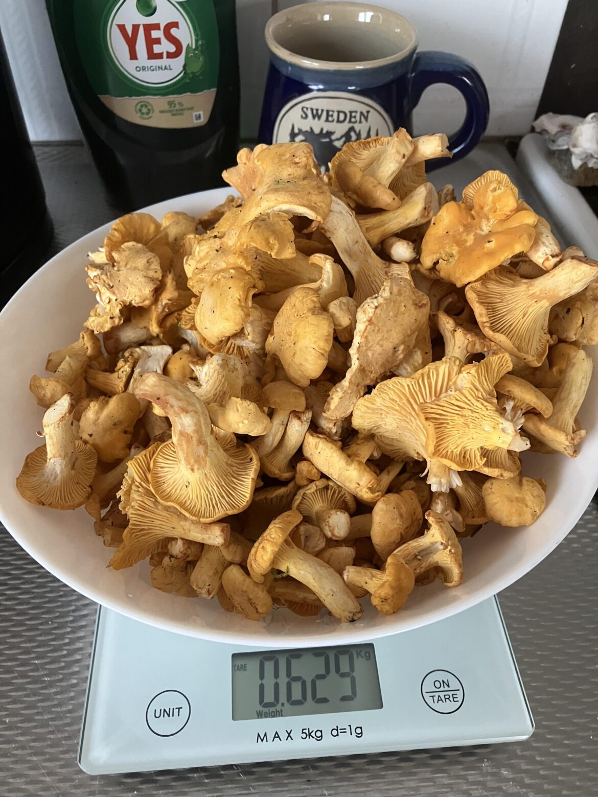 Chanterelles