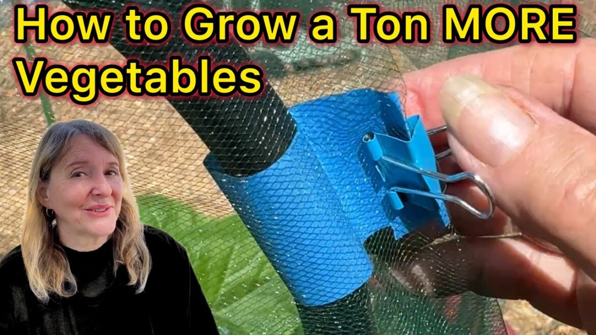 EASY Garden Life SAVER Helps GROW Tons of Vegetables & Protect Plants, PEST Tips Container Gardening EASY Garden Life SAVER Helps GROW Tons of Vegetables & Protect Plants, PEST Tips Container Gardening