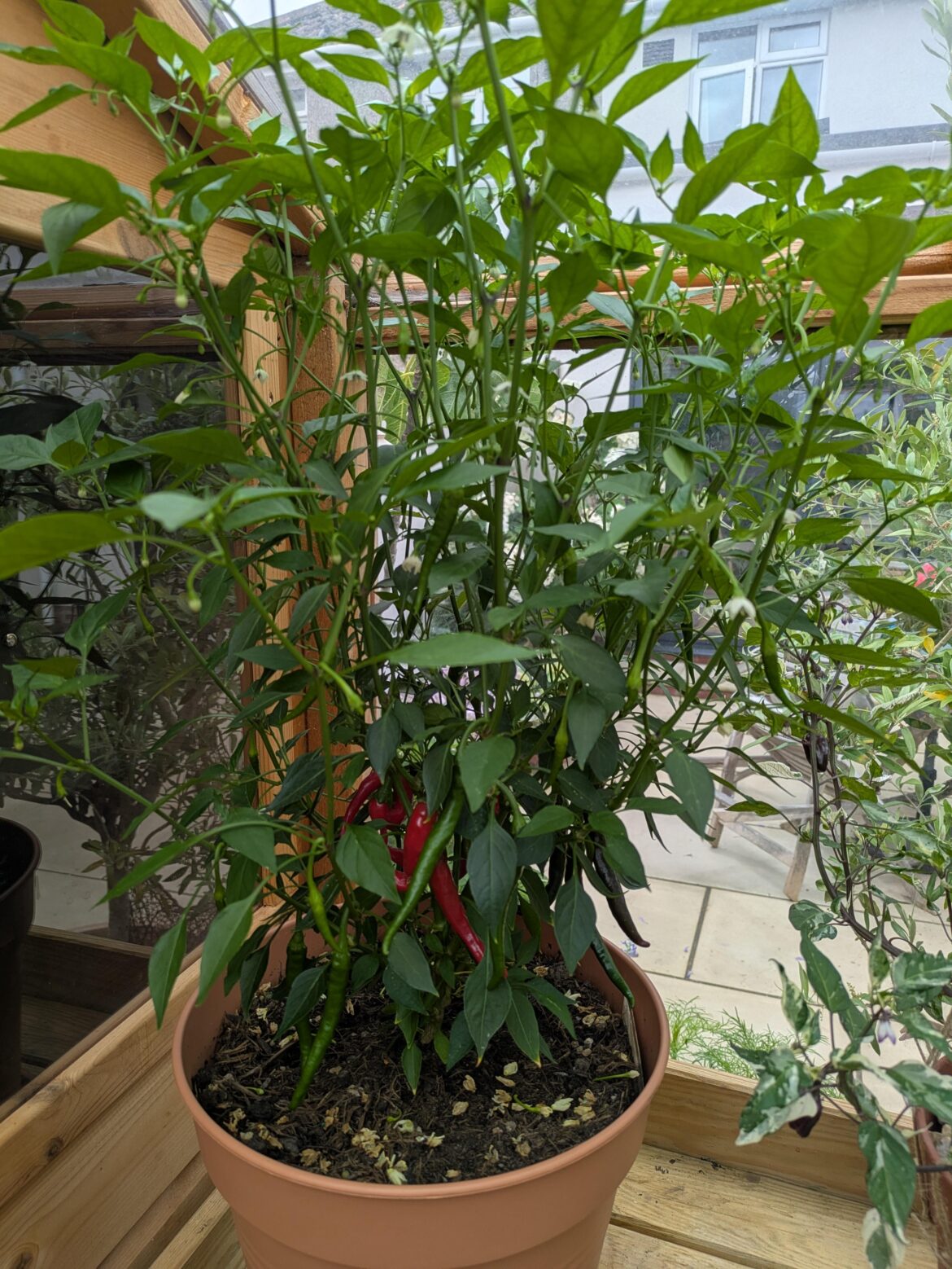 Why I don't pull flowers