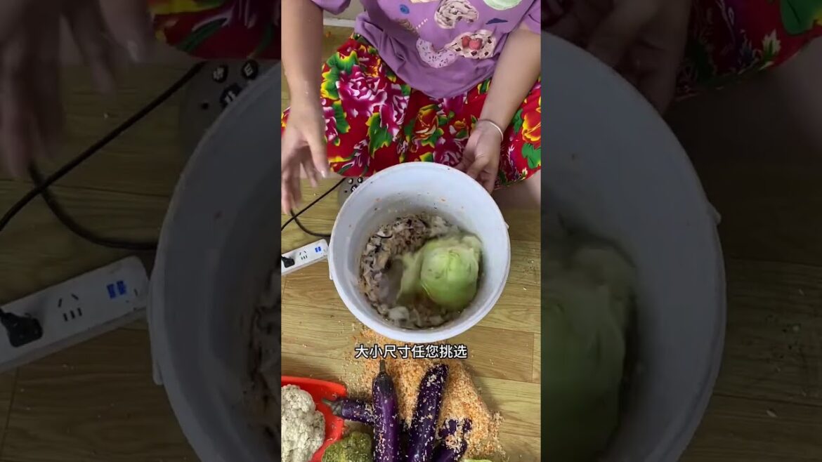 Rt 084352153234566178 #seeddrills#gardening#agricultureX#farmingvegetables#tools#shorts#farmer