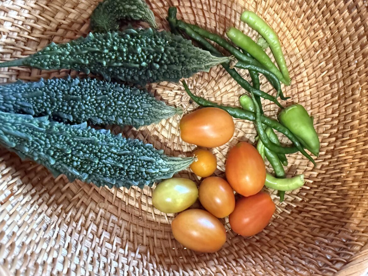 From garden to table… with a stop at my camera roll.